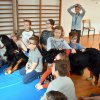 Wizyta psów terapeutycznych w klasie 3b