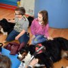 Wizyta psów terapeutycznych w klasie 3b